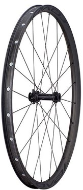 Specialized Control SL 29" 110 Boost Front Wheel