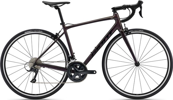 Giant Contend 1 2022 - Road Bike