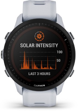 Forerunner 955 Solar GPS Watch image 11