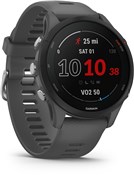 Product image for Garmin Forerunner 255 GPS Watch