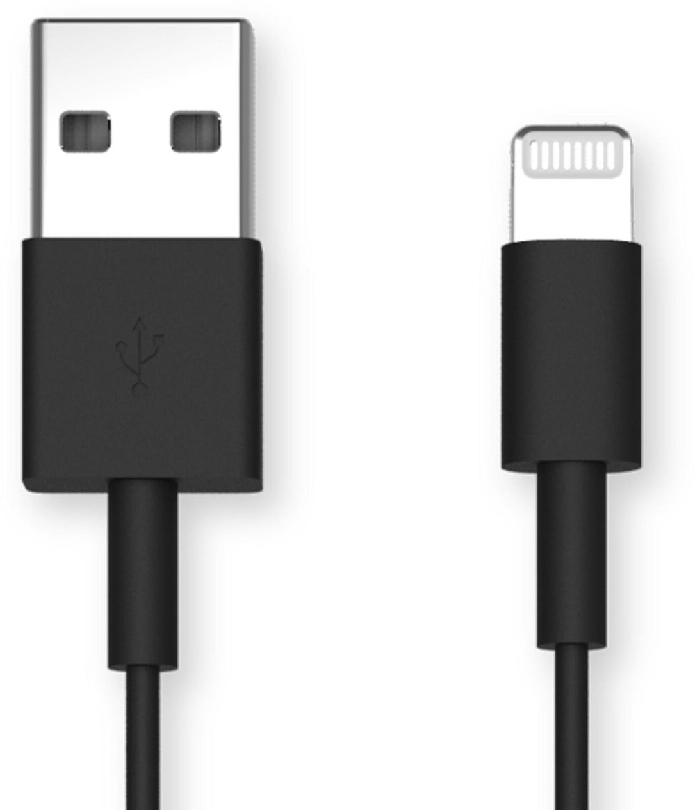 USB-A to Lightning Cable - 20cm image 0