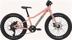 Cannondale Kids Trail Plus 20w 2023 - Kids Bike