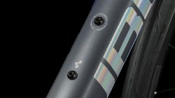 Axial WS Race 2024 - Road Bike image 3