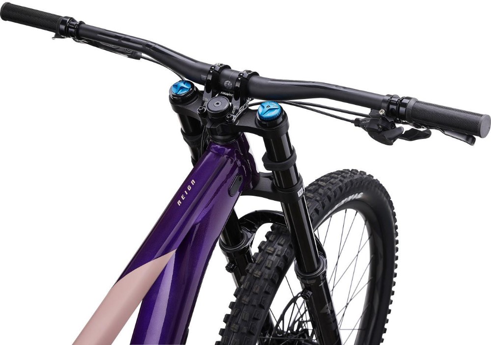 Reign SX Mountain Bike 2023 - Downhill Full Suspension MTB image 2