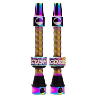 CushCore Air Valve Set