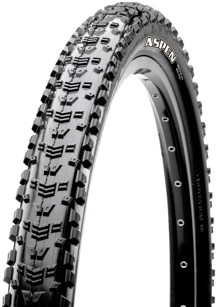 Aspen Folding EXO TR WT 29" MTB Tyre image 0