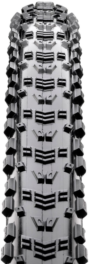 Aspen Folding EXO TR WT 29" MTB Tyre image 1