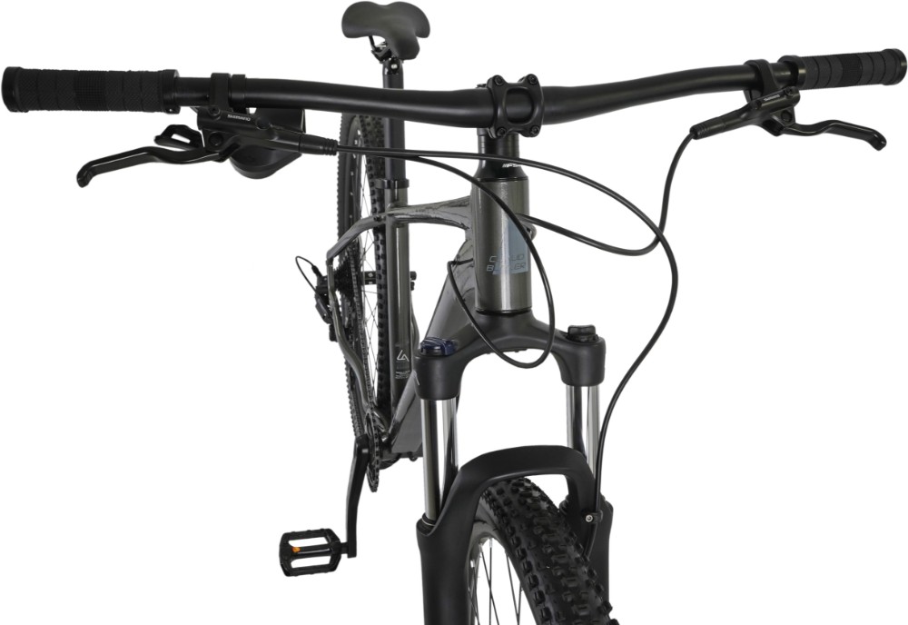 Alpina 2.0  Mountain Bike 2024 - Hardtail MTB image 2