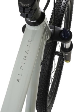 Alpina 1.0 Mountain Bike 2024 - Hardtail MTB image 5