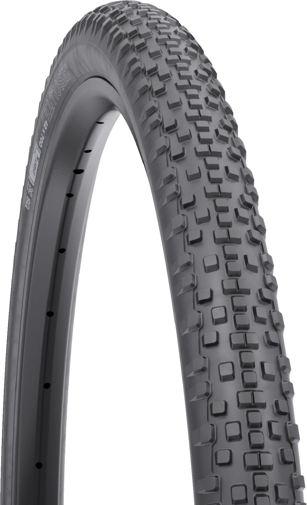 Resolute TCS Light/Fast Rolling 120tpi Dual DNA SG2 700c Tyre image 0