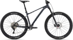 Giant Fathom 29 2 Mountain Bike 2024 - Hardtail MTB