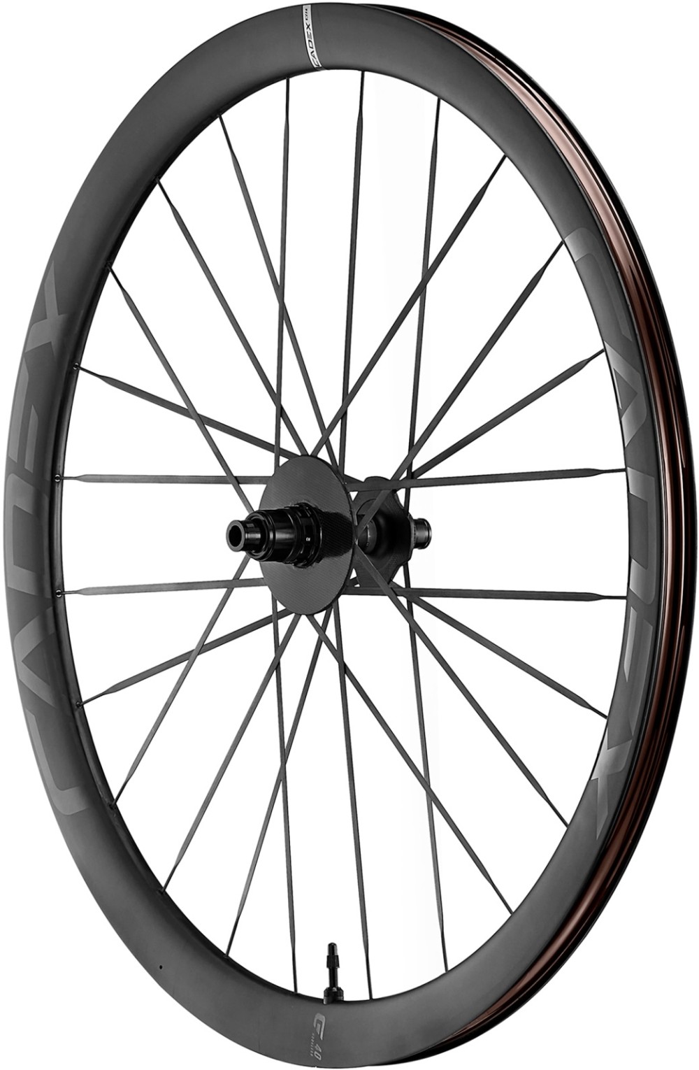 40 Max Disc Brake 700c Front Wheel image 1