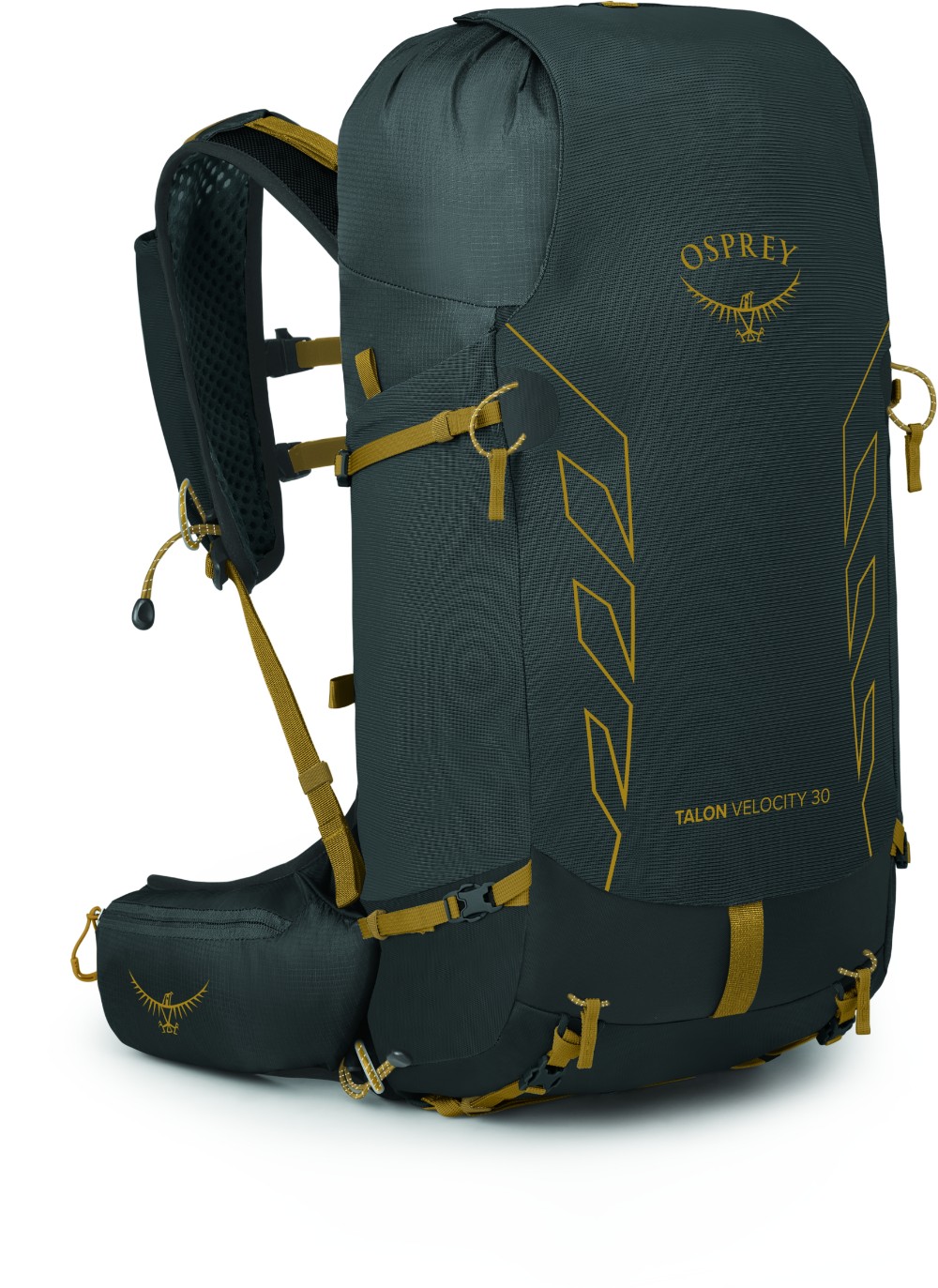 Talon Velocity 30 Backpack image 0