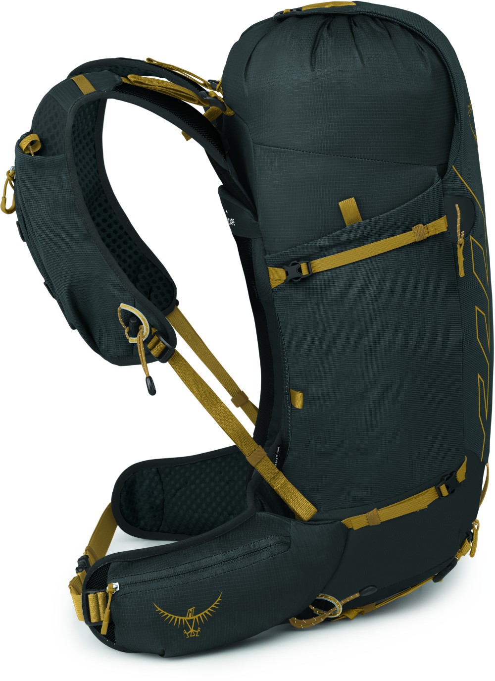 Talon Velocity 30 Backpack image 1