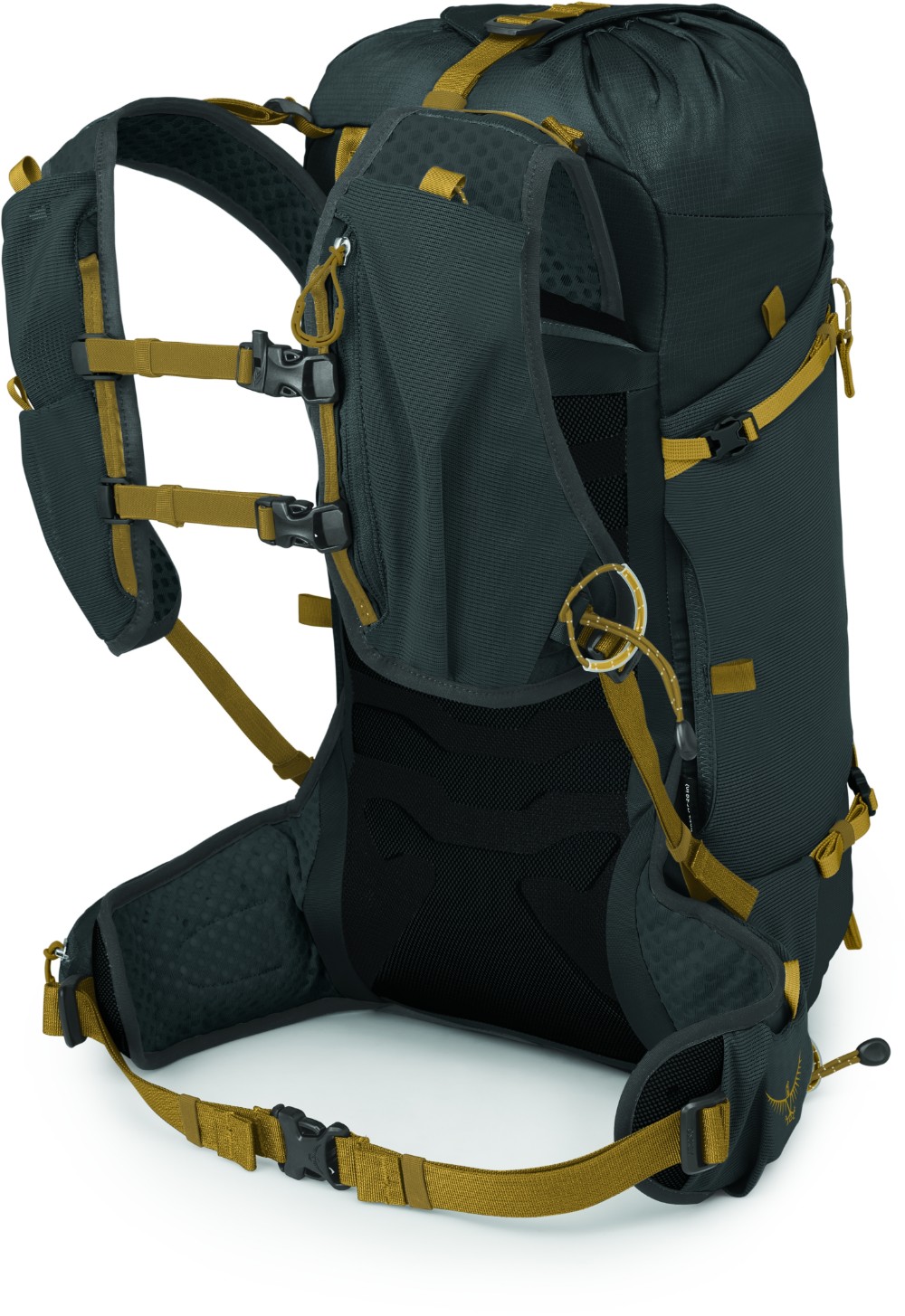 Talon Velocity 20 Backpack image 1