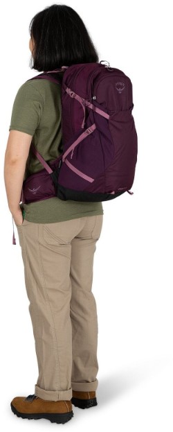 Sportlite 25 Backpack image 4