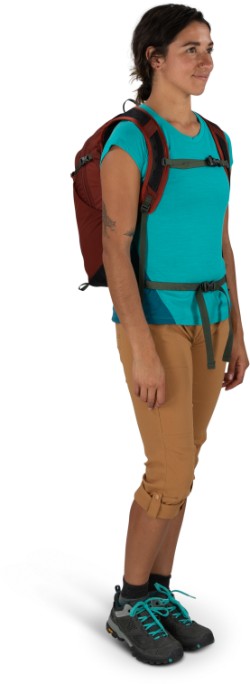 Sportlite 20 Backpack image 3