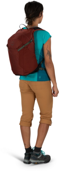 Sportlite 20 Backpack image 5