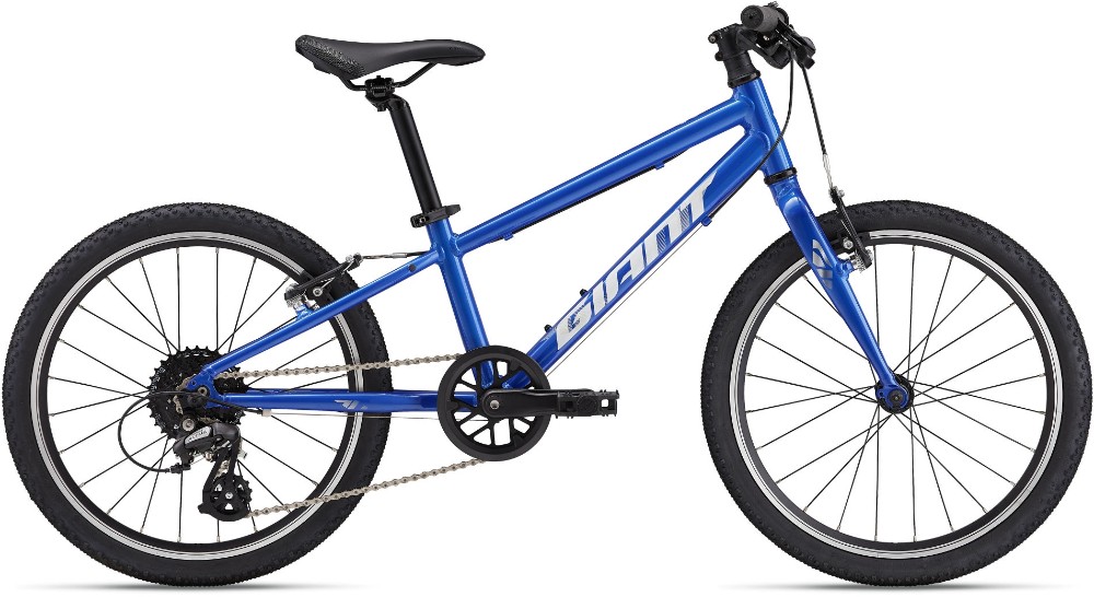 ARX 20 2025 - Kids Bike image 0