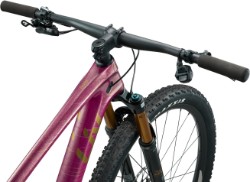 Pique Advanced 29 0 Mountain Bike 2025 - image 5