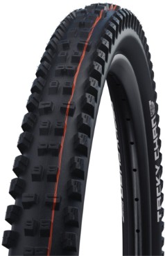 Schwalbe Tacky Chan Evo Super Gravity Tubeless Easy Addix Soft E-50 Folding 29" Tyre