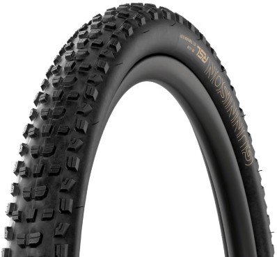 Bontrager Gunnison RSL XT Tubeless Ready 29" MTB Tyre