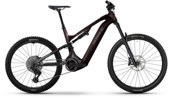 Haibike ALLMTN CF 9
