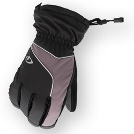 Giro Proof Winter Gloves product image