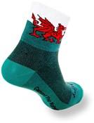 SockGuy Welsh Dragon Socks
