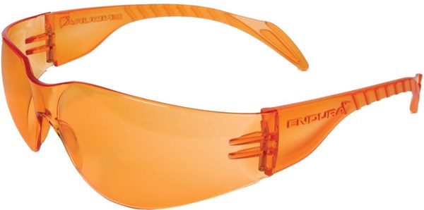 Endura Rainbow Cycling Glasses
