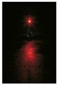 Topeak Redlite Race Rear Light
