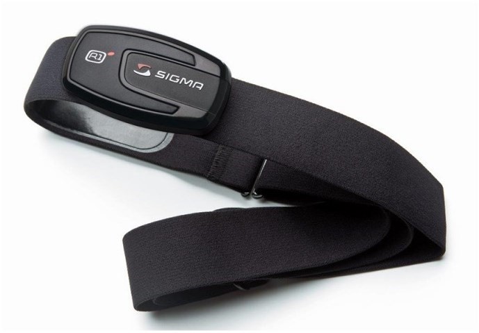 Sigma R1 Comfortex Heart Rate Monitor Chest Belt product image