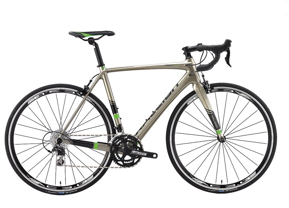Raleigh Criterium Comp 2016 - Road Bike product image