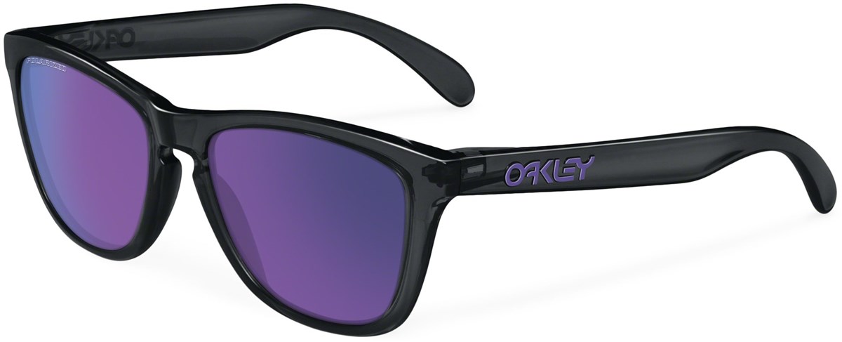 Oakley Frogskins Ink Polarized Sunglasses product image