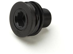 Race Face Replacement Crank Bolt ISIS M12/M15