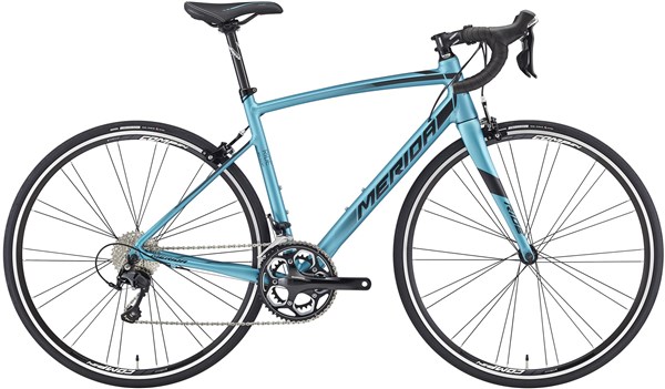 aceshin electric bike