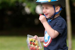 Ridgeback Dimension Runner 12w 2017 - Kids Balance Bike