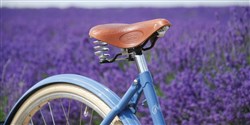 Pashley Poppy 28 Womens 2018 - Hybrid Classic Bike