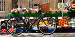 Pashley Princess 26 Sovereign 5 Speed Womens 2018 - Hybrid Classic Bike