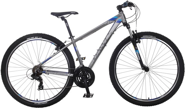 panda bamboo bicycle