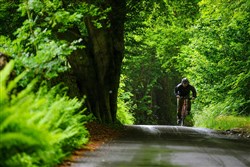 Ridgeback Flight 2.0 2017 - Road Bike