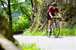 Genesis Zero Z.2 2018 - Road Bike