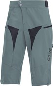 Gore C5 All Mountain Shorts
