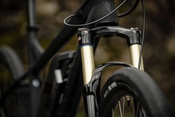 Saracen Juiced 2018 Electric Mountain Bike Fork