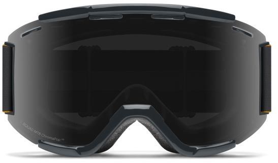 smith mountain bike goggles