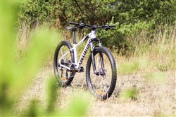 Specialized Pitch Comp Womens 2018 Forks