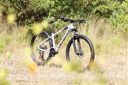 Specialized Pitch Comp Womens 2018 Front Detail