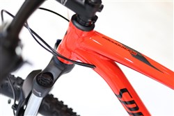 Specialized Rockhopper Comp 2018 Cable Routing