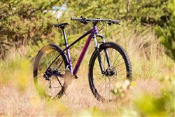 Specialized Rockhopper Expert Mountain Bike 2018 Side